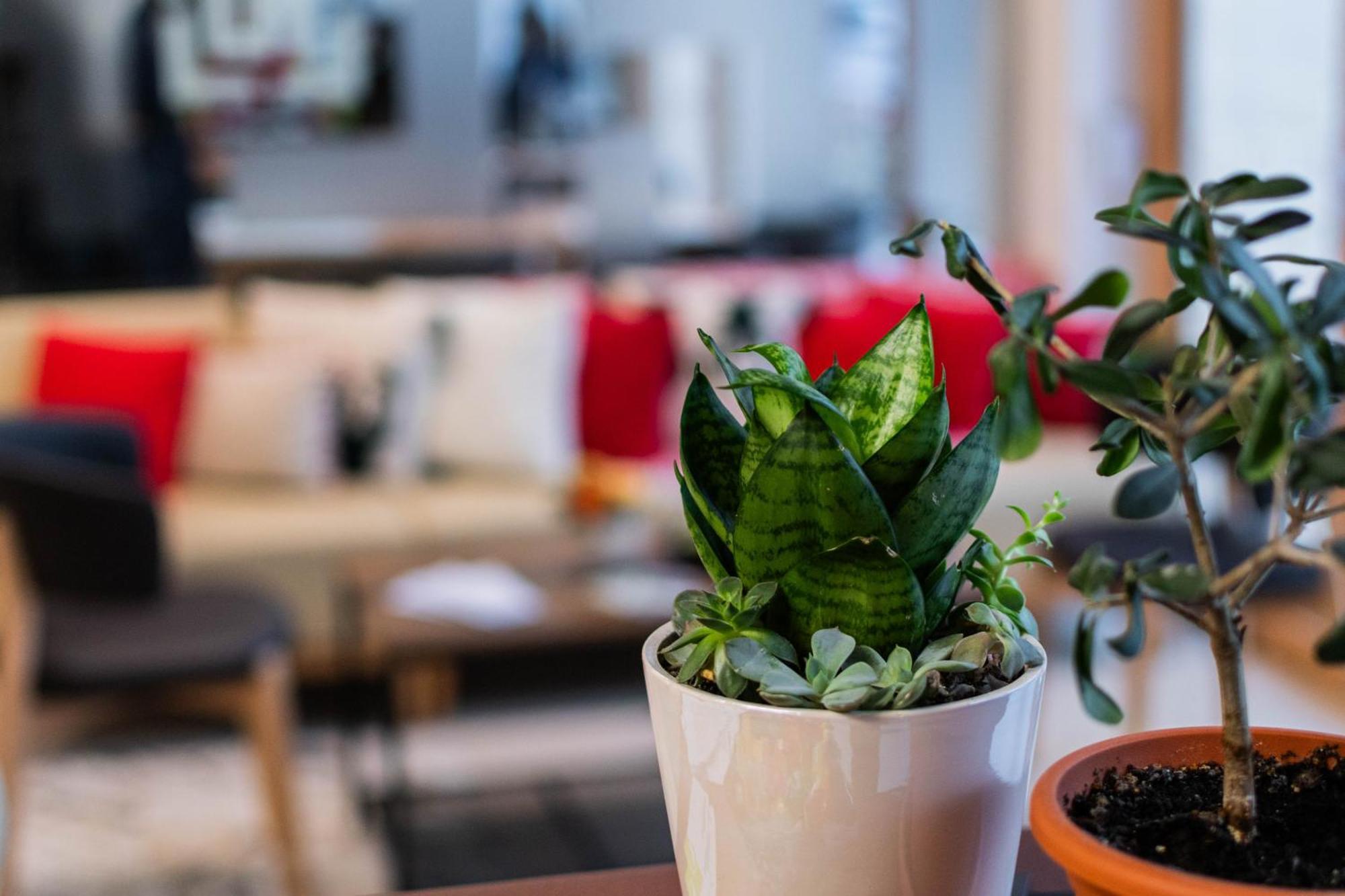 Hotel Urban Baia Mare Eksteriør bilde